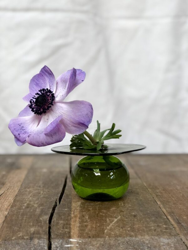 CD Olive