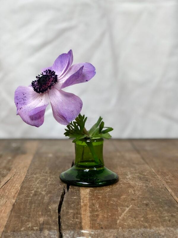 Porte Bougie Olive